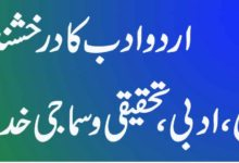 ڈاکٹر محمد ناظم علی اردو ادب کا درخشندہ ستارہ علمی، ادبی، تحقیقی و سماجی خدمات کا روشن سفر