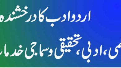 ڈاکٹر محمد ناظم علی اردو ادب کا درخشندہ ستارہ علمی، ادبی، تحقیقی و سماجی خدمات کا روشن سفر